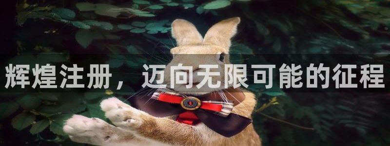 500彩票网2登录入口：辉煌注册，迈向无限可能的征程