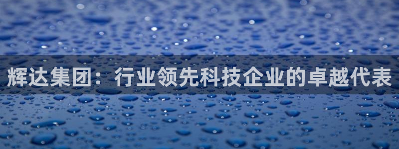 500彩票网2官网：辉达集团：行业领先科技企业的卓越代表
