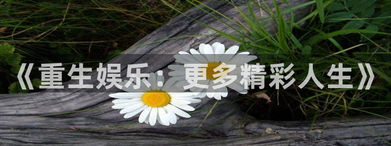 www.500彩票网体育.com：《重生娱乐：更多精彩人生》