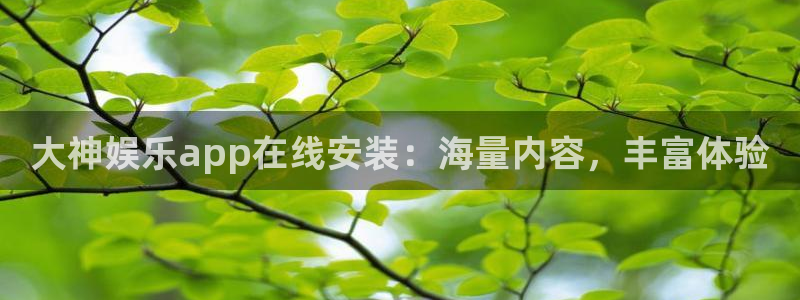 500彩票网2平台注册：大神娱乐app在线安装：海量内容，丰富体验