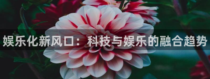 500彩票网体育和杏耀是哪个公司的：娱乐化新风口：科技与娱乐的融合趋势