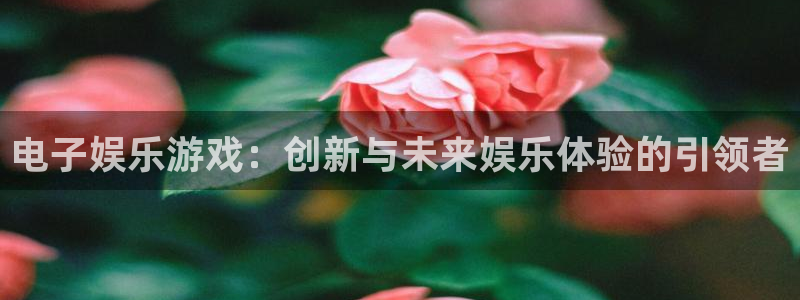 500彩票网凯捷平台注册链接：电子娱乐游戏：创新与未来娱乐体验的引领者