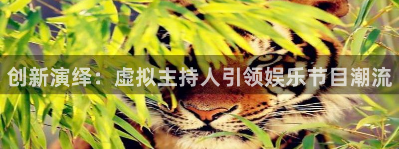 500彩票网体育游戏：创新演绎：虚拟主持人引领娱乐节目潮流