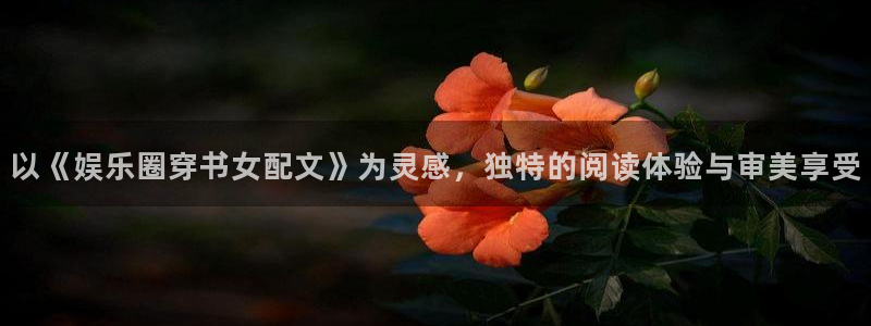 500彩票网集团官网：以《娱乐圈穿书女配文》为灵感，独特的阅读体验与审美享受