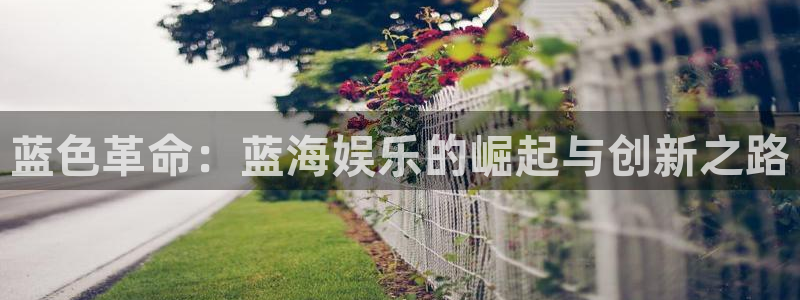 500彩票网2平台注册：蓝色革命：蓝海娱乐的崛起与创新之路
