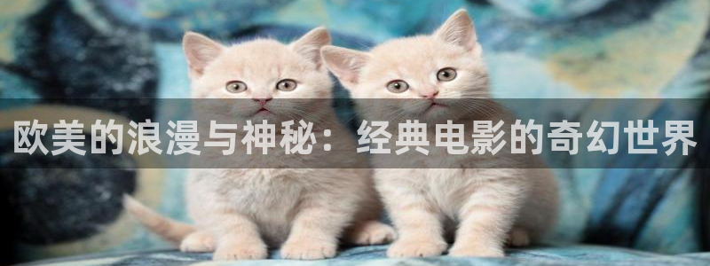 500彩票网官网入口：欧美的浪漫与神秘：经典电影的奇幻世界