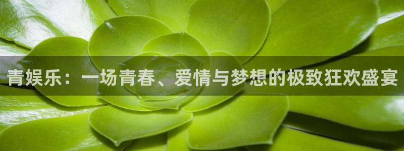 500彩票网2登录：青娱乐：一场青春、爱情与梦想的极致狂欢盛宴