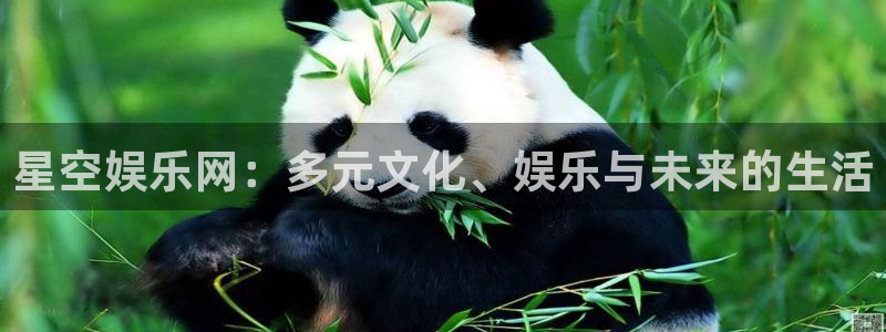 500彩票网官网