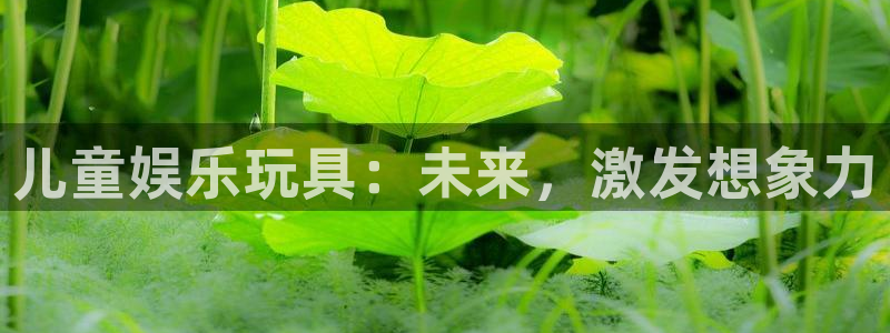 500彩票网体育凯捷平台主管：儿童娱乐玩具：未来，激发想象力