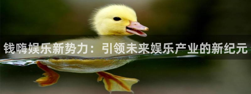 500彩票网f凯捷注册：钱嗨娱乐新势力：引领未来娱乐产业的新纪元