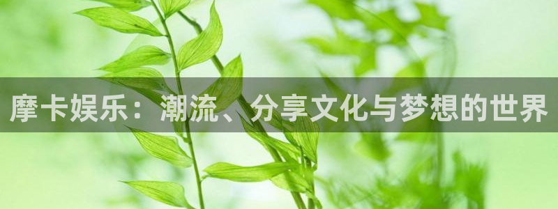 500彩票网官网入口：摩卡娱乐：潮流、分享文化与梦想的世界