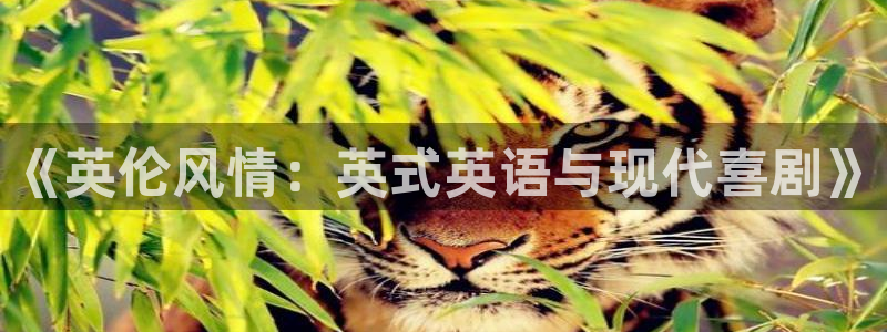 500彩票网体育凯捷平台注册：《英伦风情：英式英语与现代喜剧》