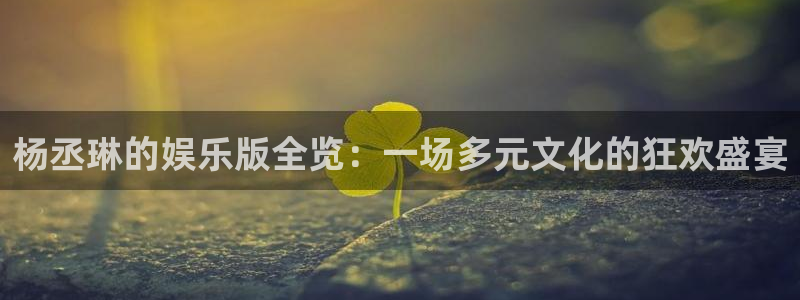 500彩票网现在优惠多少：杨丞琳的娱乐版全览：一场多元文化的狂欢盛宴