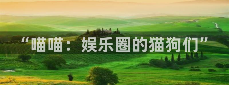 500彩票网平台在线注册：“喵喵：娱乐圈的猫狗们”