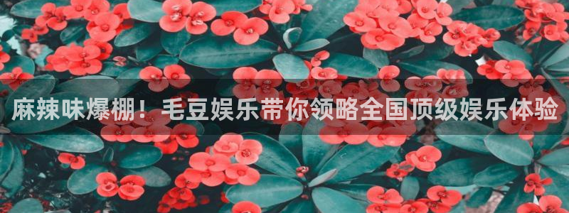 500彩票网3登陆：麻辣味爆棚！毛豆娱乐带你领略全国顶级娱乐体验