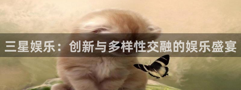 500彩票网登陆