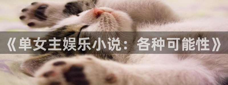 500彩票网官网：《单女主娱乐小说：各种可能性》